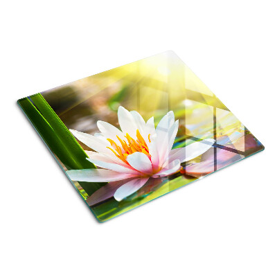 Tábua para corte Nenúfar ao sol