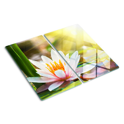 Tábua para corte Nenúfar ao sol