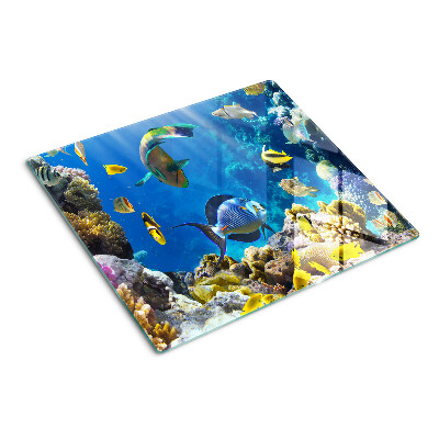 Tábua para corte O mundo subaquático do recife de coral