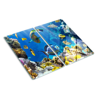 Tábua para corte O mundo subaquático do recife de coral