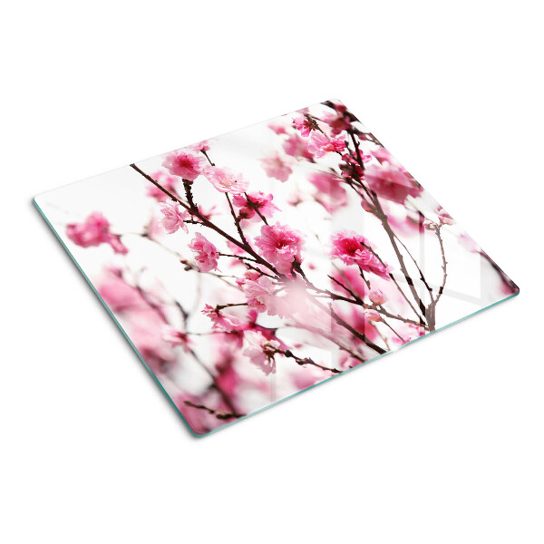 Tábua para cozinha Flores de cerejeira em flor