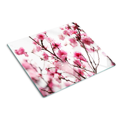Tábua para cozinha Flores de cerejeira em flor