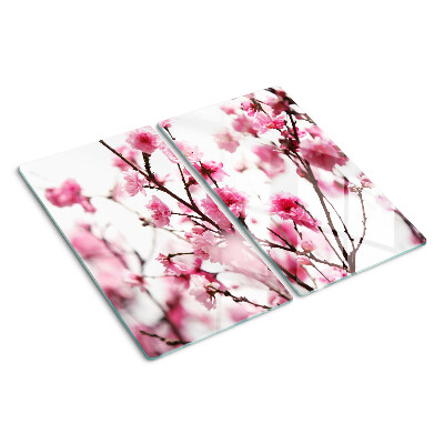 Tábua para cozinha Flores de cerejeira em flor