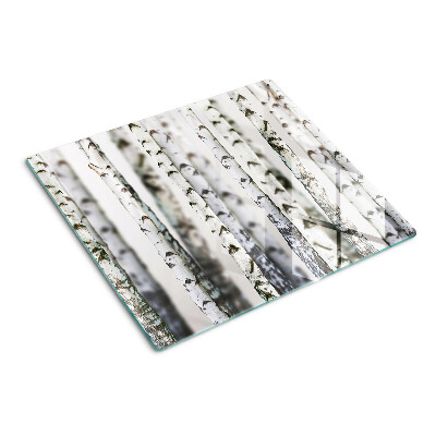 Tábua para corte Bétulas brancas na floresta