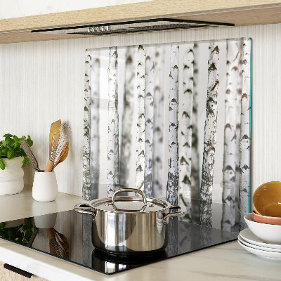 Tábua para corte Bétulas brancas na floresta