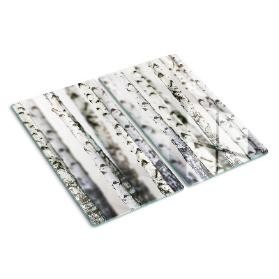 Tábua para corte Bétulas brancas na floresta