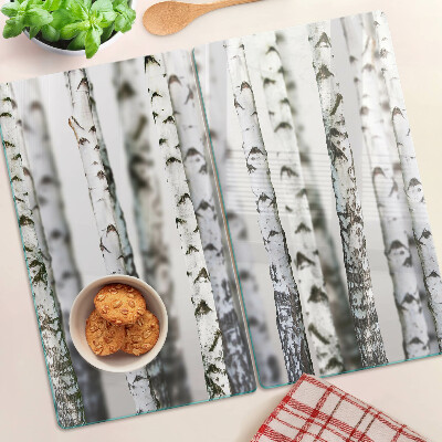 Tábua para corte Bétulas brancas na floresta