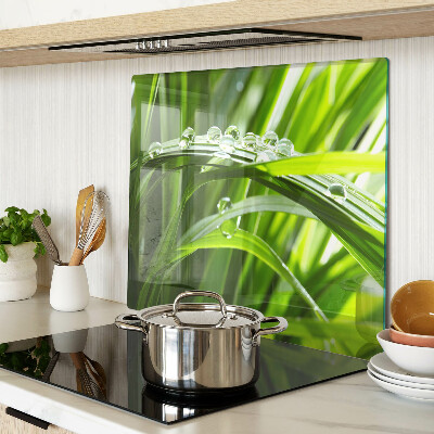 Tábua para corte Gotas de água na grama