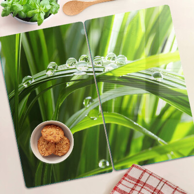 Tábua para corte Gotas de água na grama