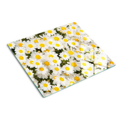 Tábua para cozinha Margaridas em um fundo branco