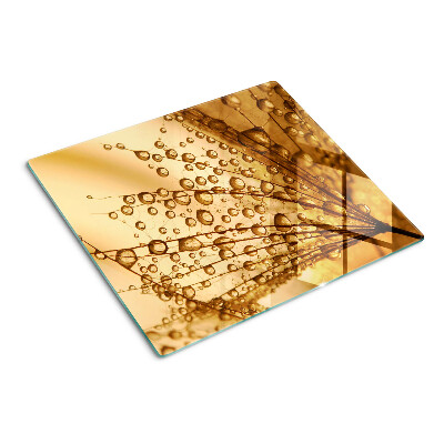 Tábua para corte Gotas de água em uma planta