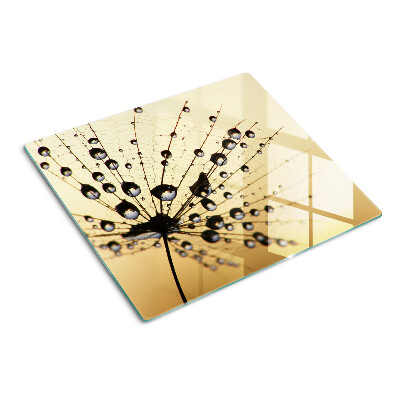 Tábua para corte Gotas de água na teia de uma aranha