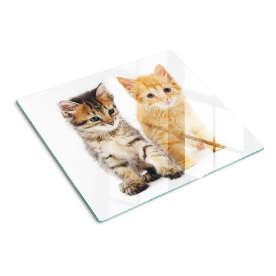 Tábua para corte Gatos em um fundo branco