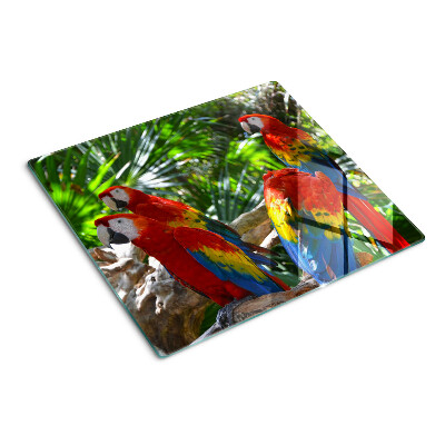 Tábua para cozinha Papagaios em um ambiente tropical