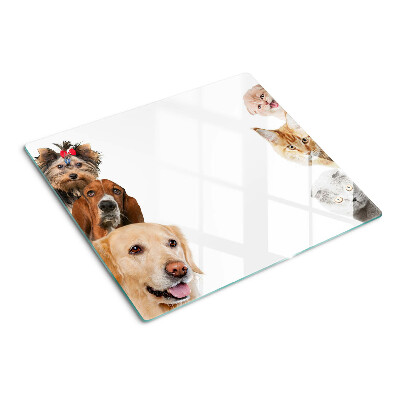 Tábua para corte Cães e gatos em poses diferentes