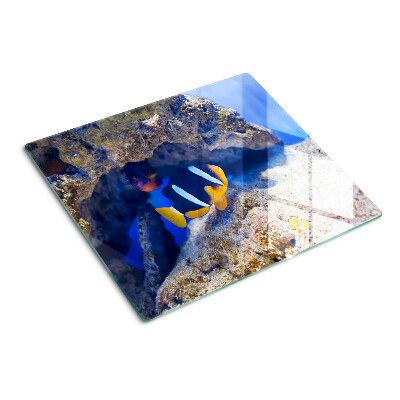 Tábua para cozinha Peixes em um recife de coral