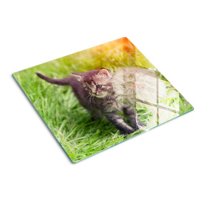 Tábua para corte Gato na grama