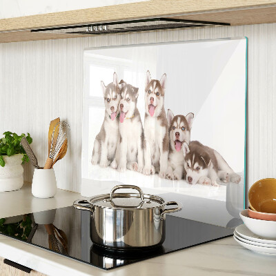 Tábua para cozinha Filhotes de Husky