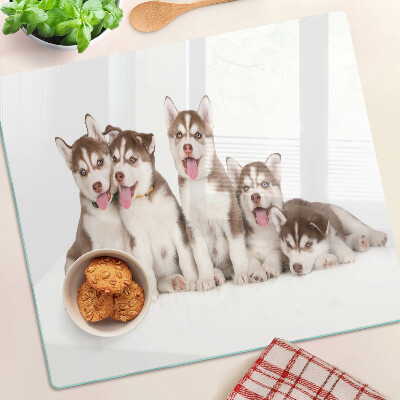 Tábua para cozinha Filhotes de Husky