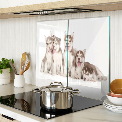 Tábua para cozinha Filhotes de Husky