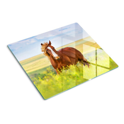 Tábua para corte Um cavalo no prado