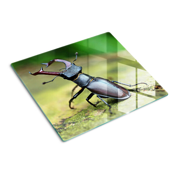 Tábua para cozinha Besouro-veado em um fundo verde