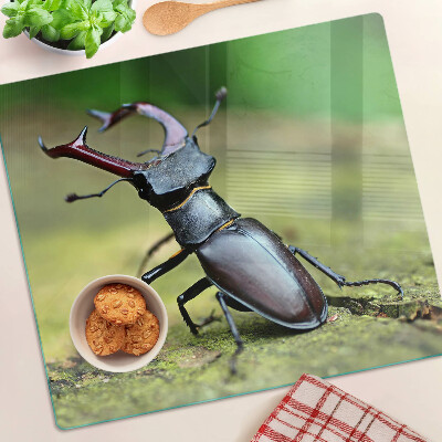 Tábua para cozinha Besouro-veado em um fundo verde