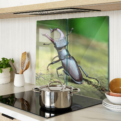 Tábua para cozinha Besouro-veado em um fundo verde