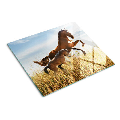 Tábua para corte Cavalos em um prado ao sol