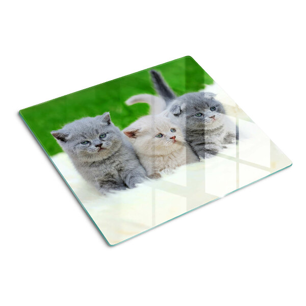 Tábua para cozinha Gatinhos em um fundo verde