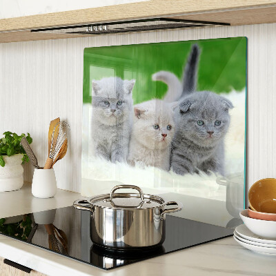 Tábua para cozinha Gatinhos em um fundo verde