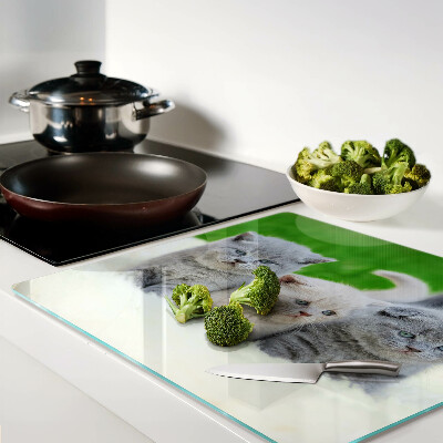 Tábua para cozinha Gatinhos em um fundo verde