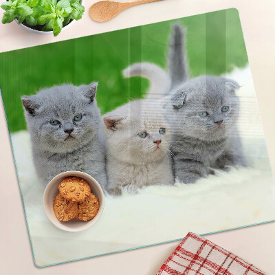 Tábua para cozinha Gatinhos em um fundo verde