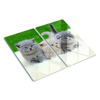 Tábua para cozinha Gatinhos em um fundo verde