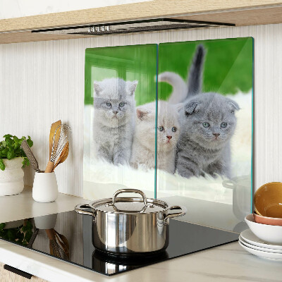 Tábua para cozinha Gatinhos em um fundo verde