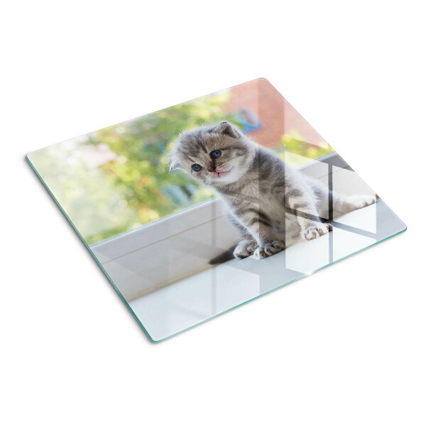 Tábua para corte Um gatinho no parapeito da janela