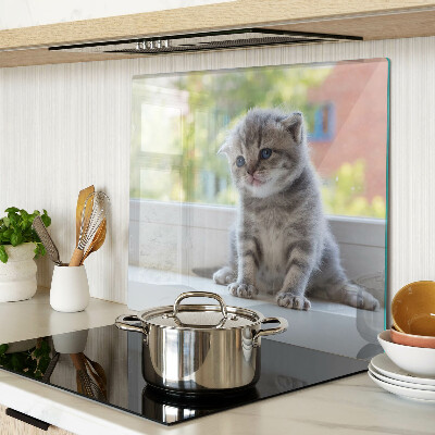 Tábua para corte Um gatinho no parapeito da janela