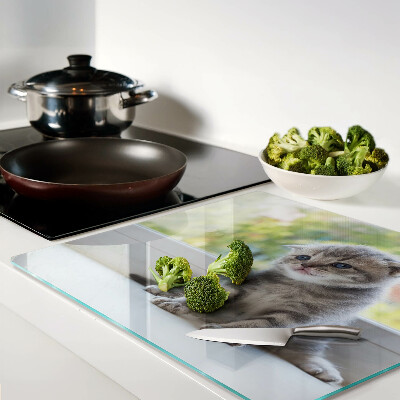 Tábua para corte Um gatinho no parapeito da janela