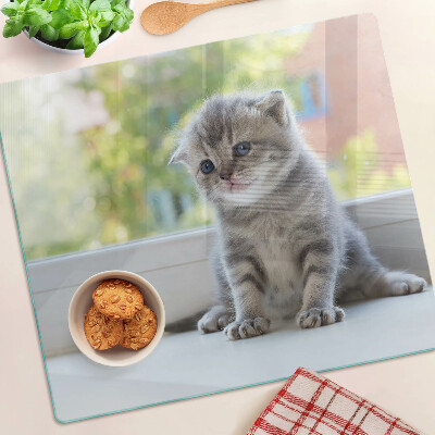 Tábua para corte Um gatinho no parapeito da janela