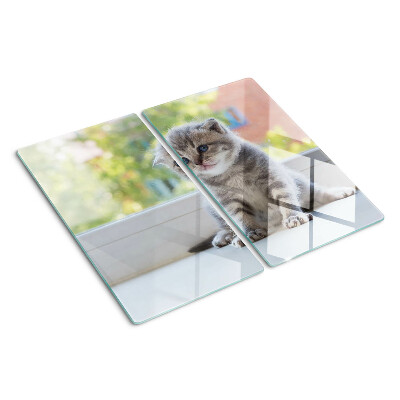 Tábua para corte Um gatinho no parapeito da janela