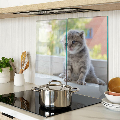 Tábua para corte Um gatinho no parapeito da janela