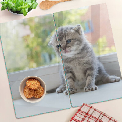 Tábua para corte Um gatinho no parapeito da janela