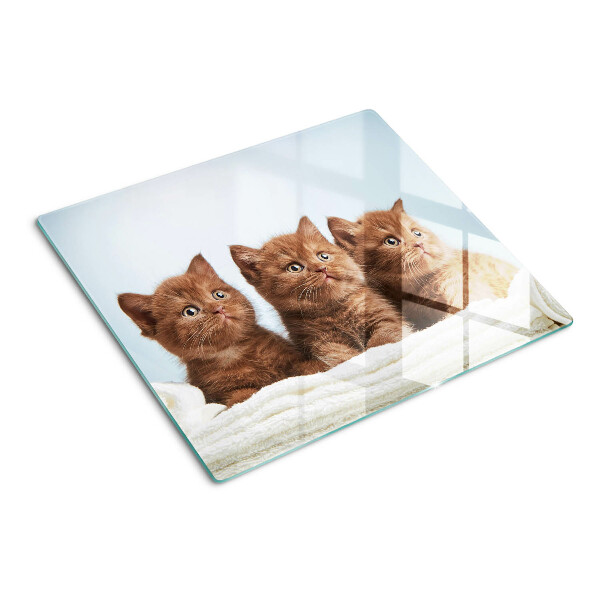 Tábua para corte Três gatos marrons