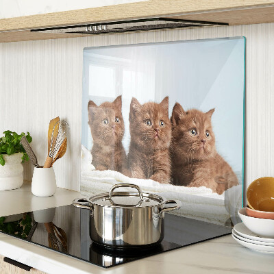 Tábua para corte Três gatos marrons