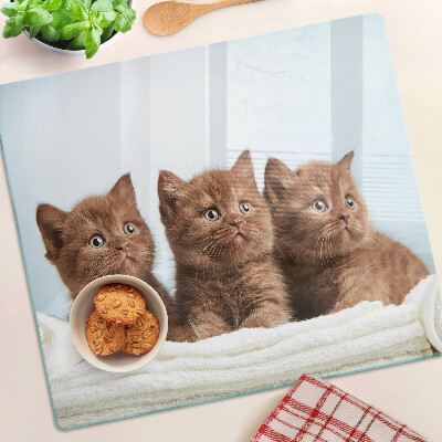 Tábua para corte Três gatos marrons