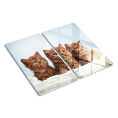 Tábua para corte Três gatos marrons