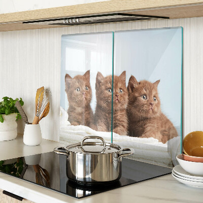 Tábua para corte Três gatos marrons