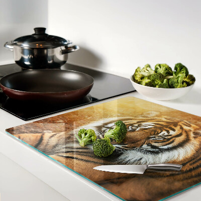 Tábua para corte Tigre sob os raios do sol