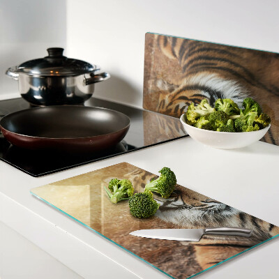 Tábua para corte Tigre sob os raios do sol