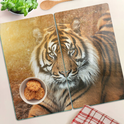 Tábua para corte Tigre sob os raios do sol